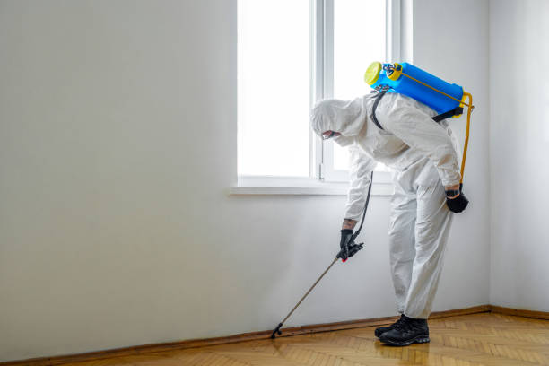 Emergency Pest Control Services in Big Bend, WI